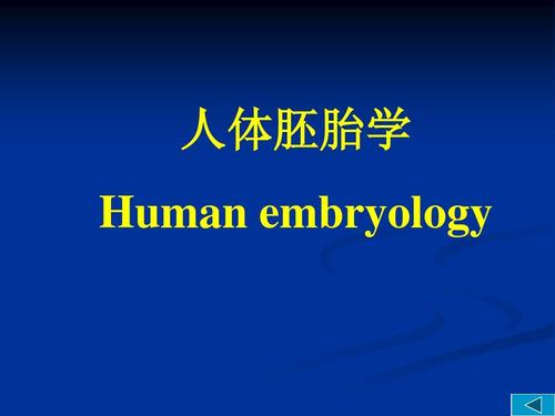 Embryology代写