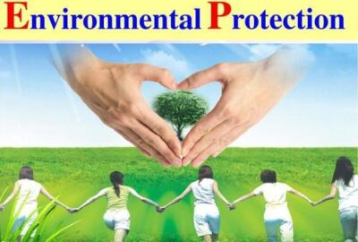 Environmental Protection Law代写