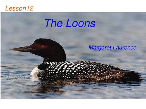 “The Loons”代写